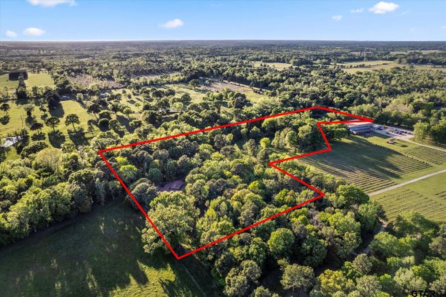 660 County Road 1334, Home with 4 bedrooms, 3 bathrooms and null parking in Pittsburg TX | Image 23
