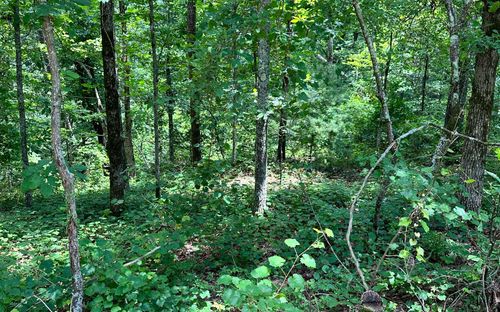 LT 1719 Rebekah Ridge Rd, Talking Rock, GA, 30175 | Card Image