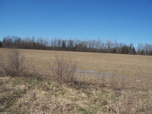 Lot 3 Beard Rd Road, Kenockee Township, MI, 48006 | Card Image