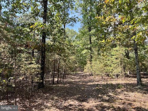 lot-2b-250 Southwood Dr, CROSS JUNCTION, VA, 22625 | Card Image