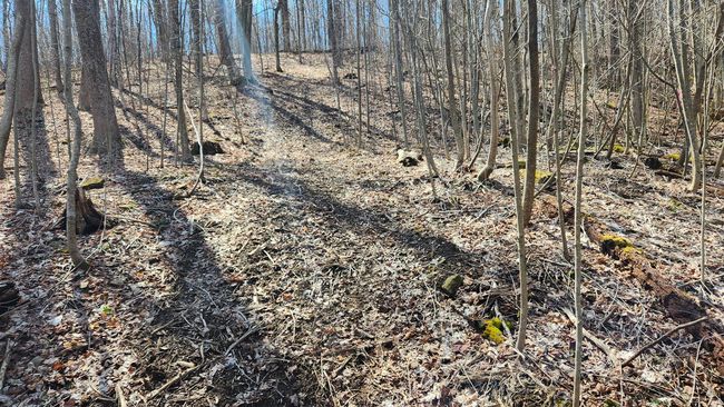 TRACT-2-PIKE-LAKE-GETAWA - 0 Pike Lake Rd, Home with 0 bedrooms, 0 bathrooms and null parking in Bainbridge OH | Image 37
