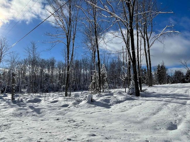 2209 Underpass Rd, Home with 0 bedrooms, 0 bathrooms and null parking in Sutton VT | Image 21