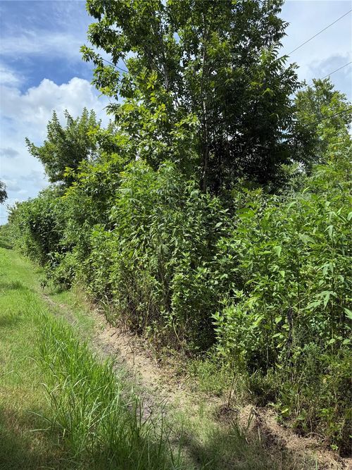 000 Highland Glen Dr, Brazoria, TX, 77422 | Card Image