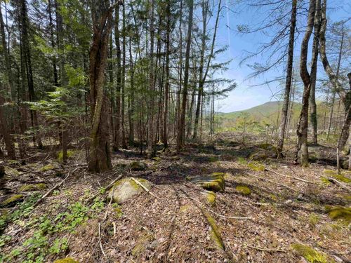 Lot 4 Oregon Road, Concord, VT, 05824 | Card Image