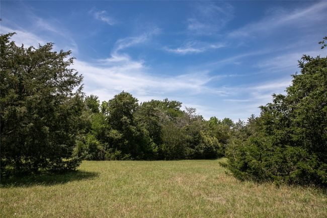 View of woods | Image 6