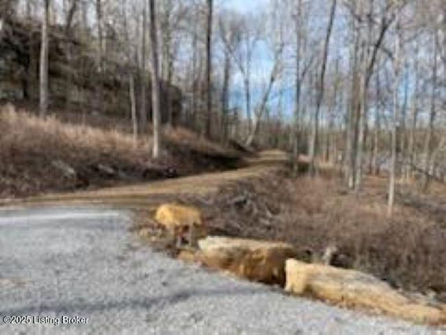 4 Stargazer Ln, Home with 0 bedrooms, 0 bathrooms and null parking in Falls of Rough KY | Image 11