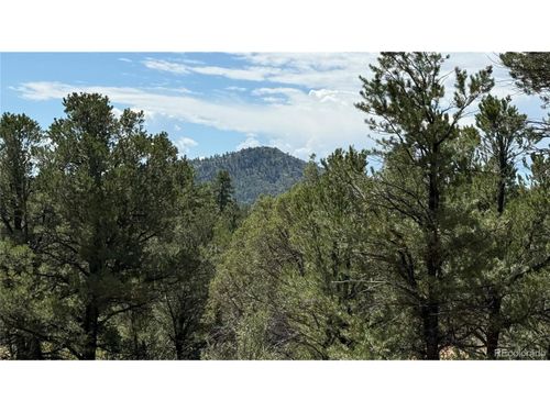 876 Q Path, Cotopaxi, CO, 81223-8787 | Card Image