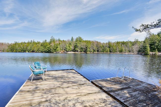 1037 Fire Route 20 G, House other with 4 bedrooms, 3 bathrooms and 5 parking in Gravenhurst ON | Image 46