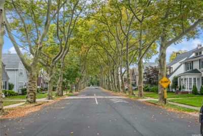 Tree Lined Block | Image 3