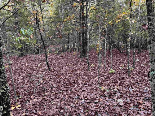 1352 Pioneer Lake Rd, Horseshoe Bend, AR, 72512-1825 | Card Image