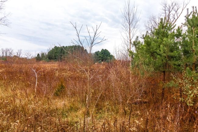 6152 Old State Rd, Home with 0 bedrooms, 1 bathrooms and null parking in North Branch MI | Image 31