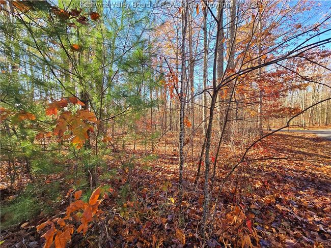 101 Chantry Ln, Home with 0 bedrooms, 0 bathrooms and null parking in Daniels WV | Image 5