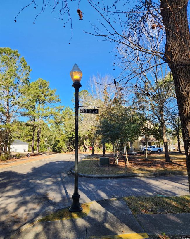 20 Serenity Park Ln, Home with 0 bedrooms, 0 bathrooms and null parking in Georgetown SC | Image 8