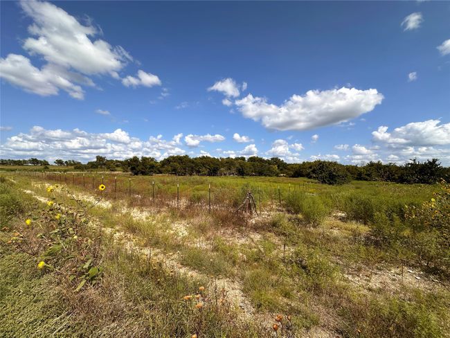 Lot 21 Longview Creek Trail, Home with 0 bedrooms, 0 bathrooms and null parking in Itasca TX | Image 7