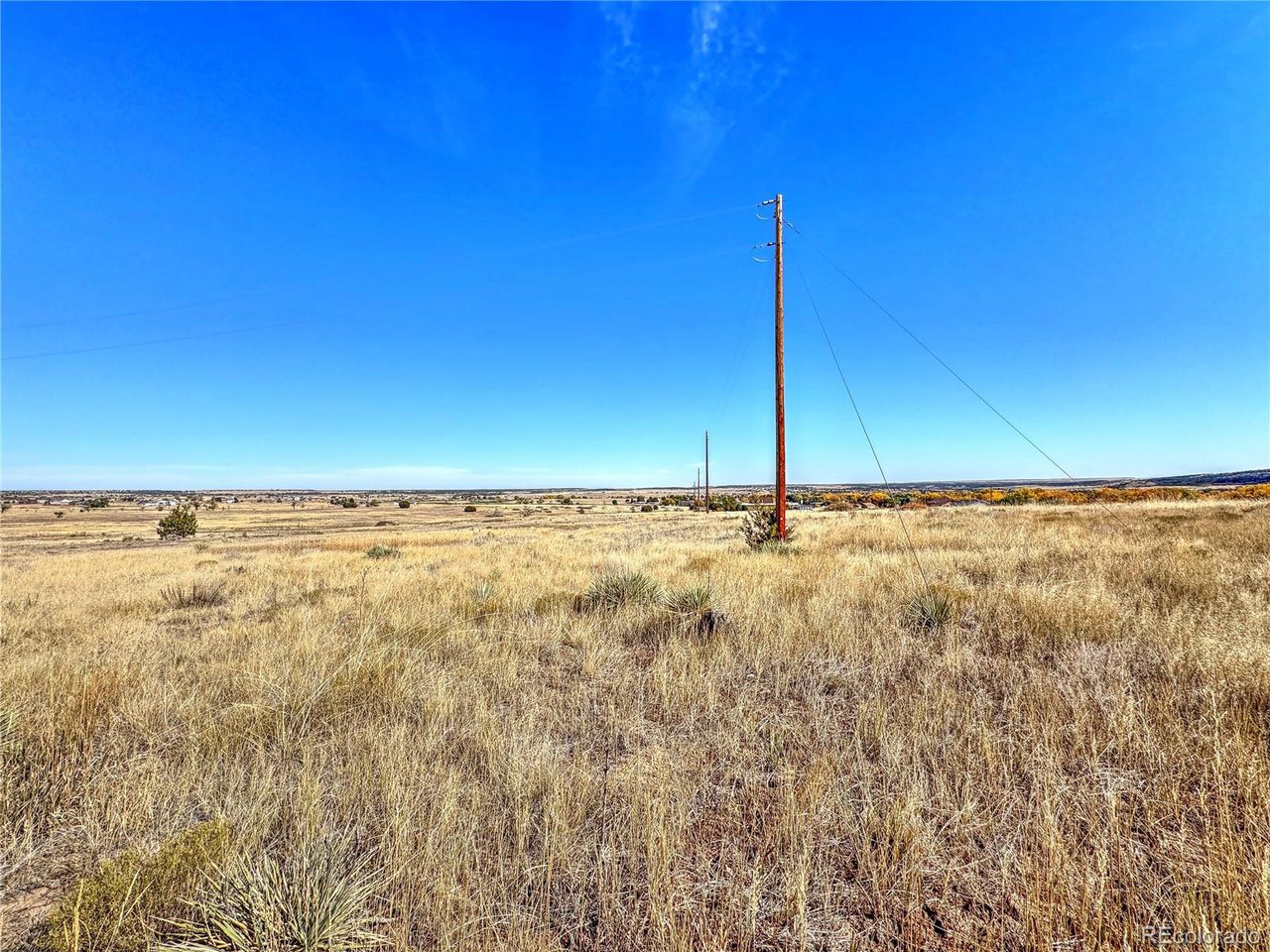 Land in Colorado City 4