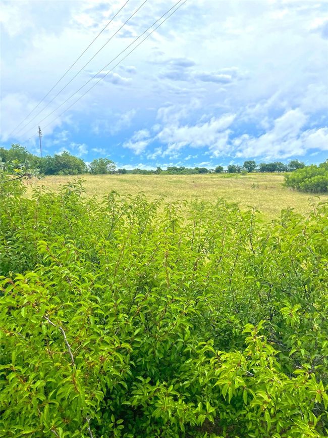 View of undeveloped land with rural landscape | Image 11