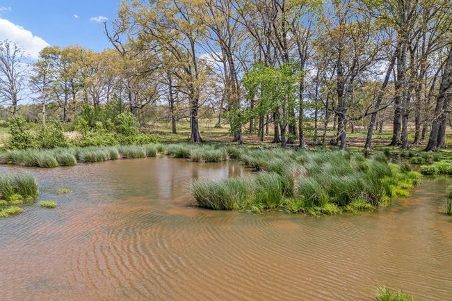1110 Pomroy Rd, House other with 3 bedrooms, 2 bathrooms and 2 parking in Manchester TN | Image 16