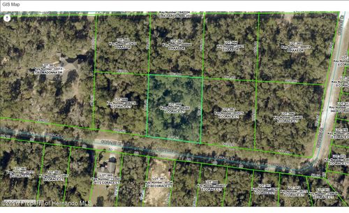 0 Corace Court, Webster, FL, 33597 | Card Image