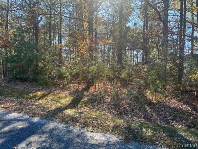 Road Side | Image 7