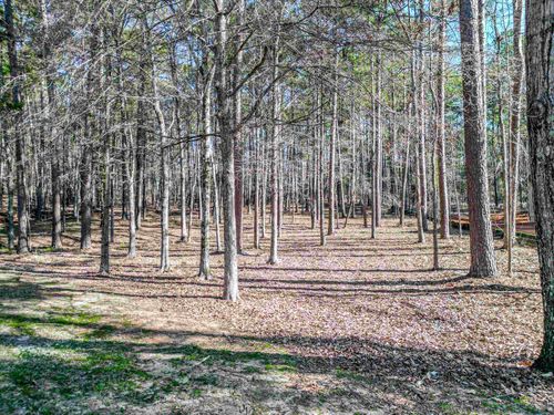 19-1050 Centennial Post Lane, Greensboro, GA, 30642 | Card Image