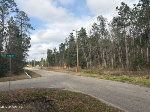Nhn Tigris St, Bay Saint Louis, MS, 39520 | Card Image