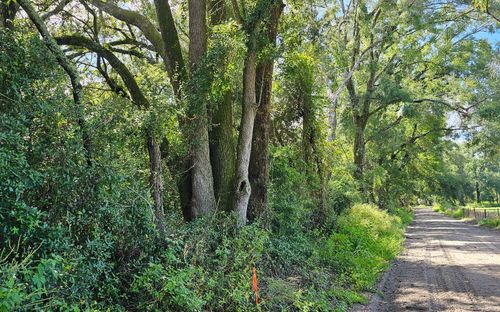 TBD 107th Rd, O Brien, FL, 32071 | Card Image