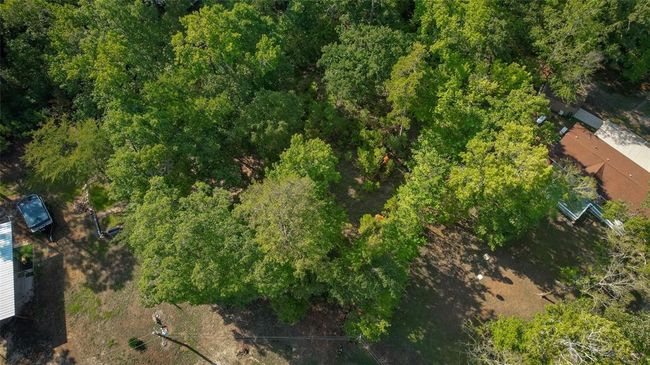 0 Oakwood Ln, Home with 0 bedrooms, 0 bathrooms and null parking in Trinity TX | Image 17