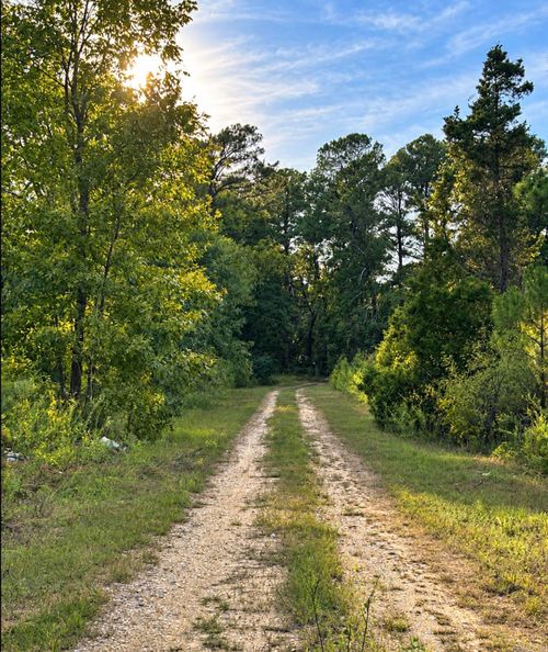 156 Ouachita 500, Camden, AR, 71701-8826 | Card Image