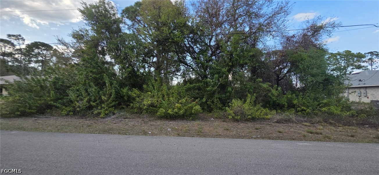 Land in Lehigh Acres 2