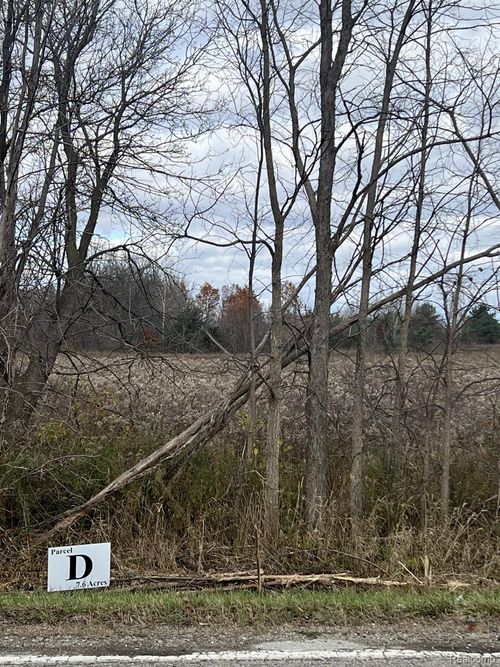 VL Davis Lake Rd. Road, Mayfield Township, MI, 48446 | Card Image