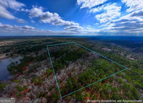 0 Hwy 315, Waverly hall, GA, 31831 | Card Image