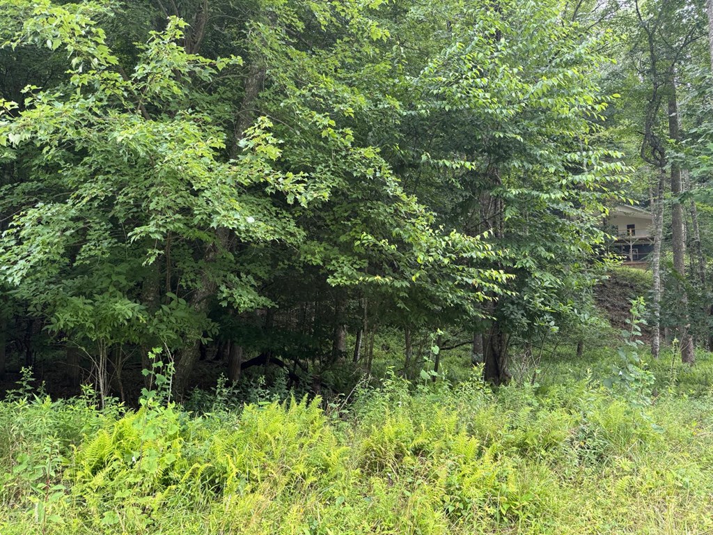 Land in Franklin 4