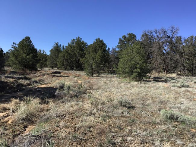Lot 7 Red Fox Road, Home with 0 bedrooms, 0 bathrooms and null parking in Ramah NM | Image 3