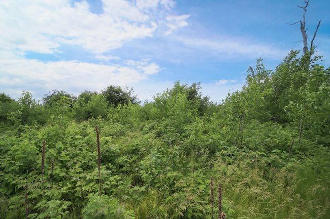 3651 Tradition Dr, Home with 0 bedrooms, 0 bathrooms and null parking in Brainerd MN | Image 12