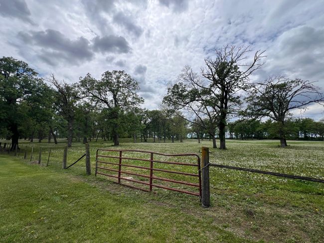 Pasture | Image 7