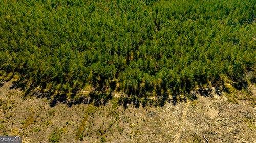 0 Baybranch Rd, Claxton, GA, 30417 | Card Image