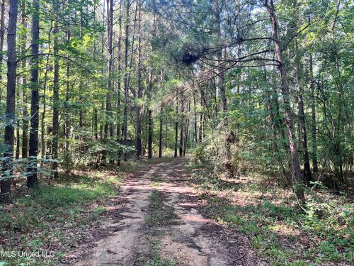 0 Joe Dear Rd, Harrisville, MS, 39082 | Card Image