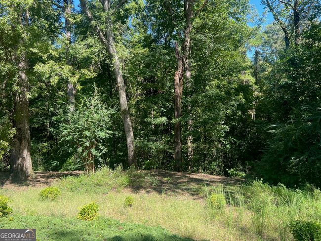 14 Davis Dr, House other with 3 bedrooms, 3 bathrooms and null parking in Georgetown GA | Image 38