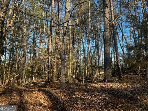 0 Alpine Way, Lavonia, GA, 30553 | Card Image