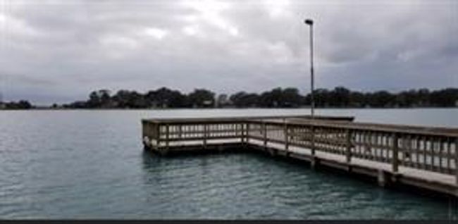 663 Pony Trl, Home with 0 bedrooms, 0 bathrooms and null parking in Angleton TX | Image 8
