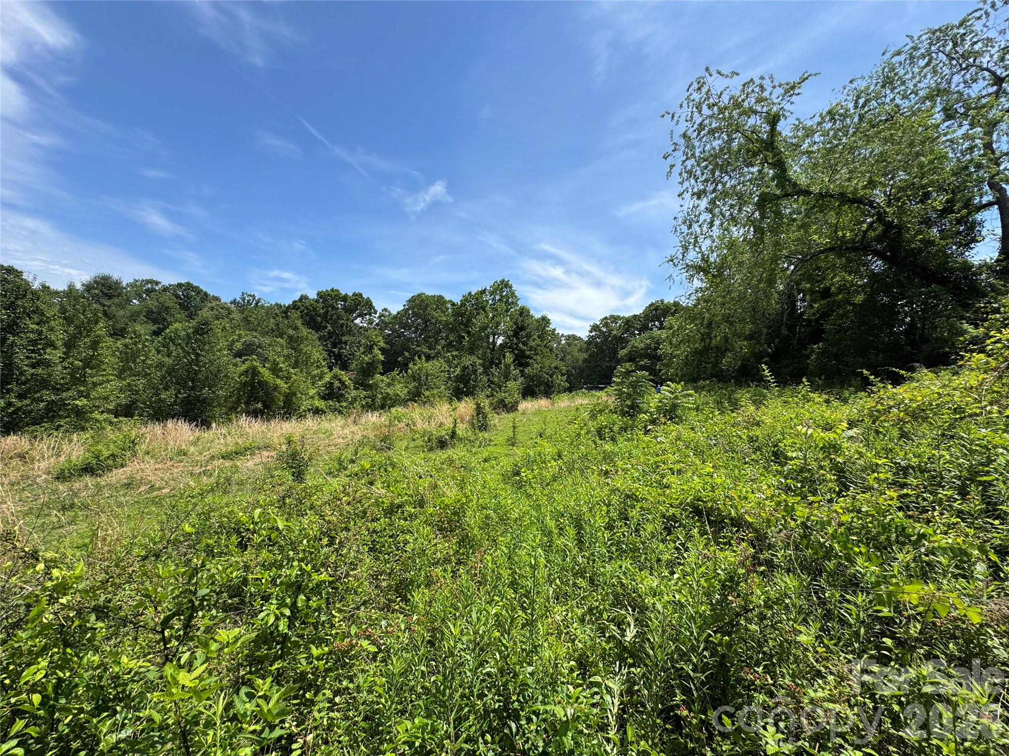 Land in Candler 5