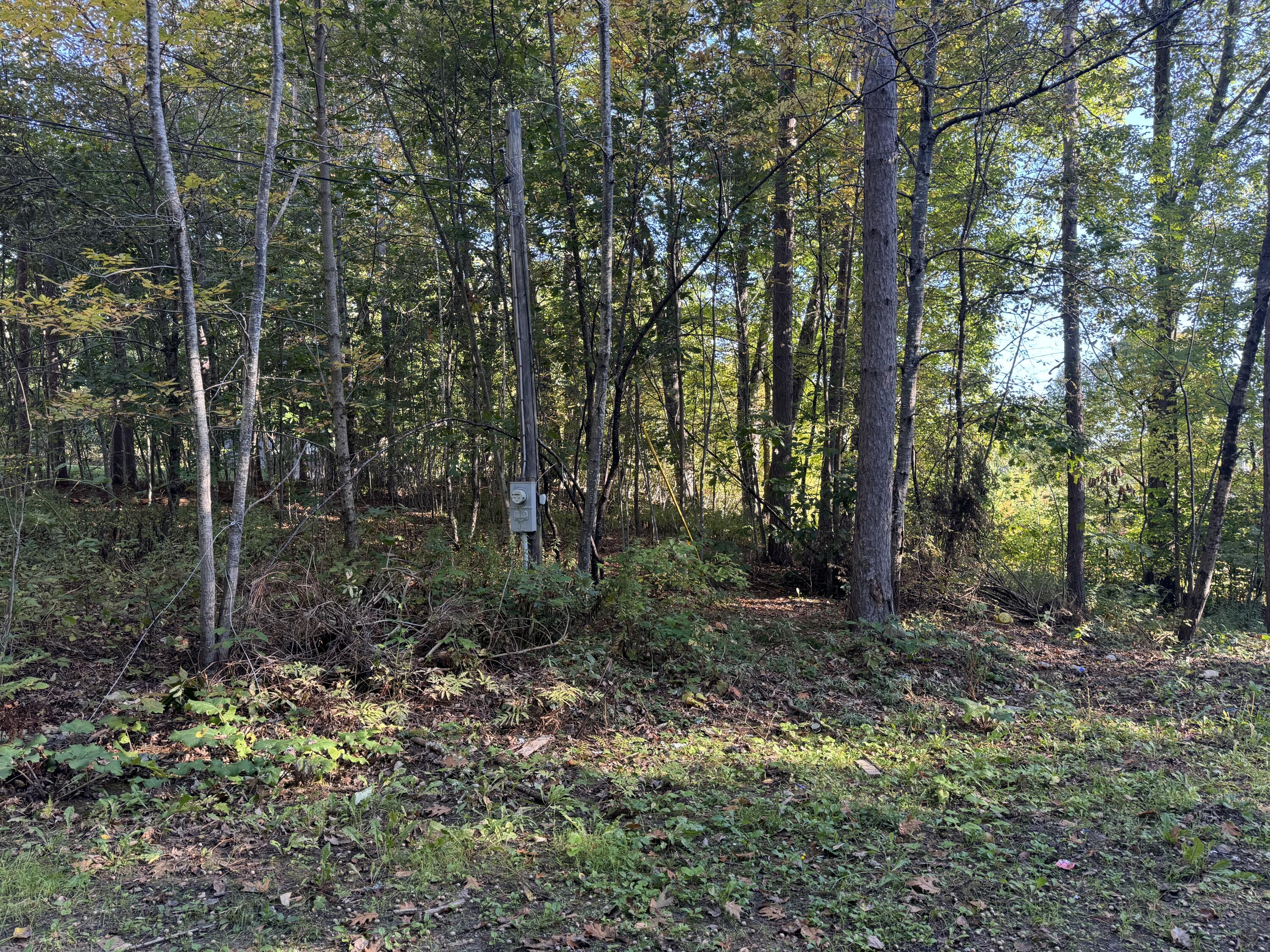 Drake Ln, Swanville, ME 04915