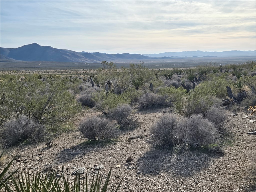 Land in Dolan Springs