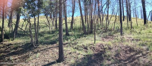 129 Sequoia Dr, Ruidoso, NM, 88345-7212 | Card Image