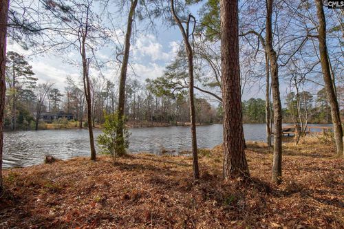 217 Caro Ln, Chapin, SC, 29036-9588 | Card Image