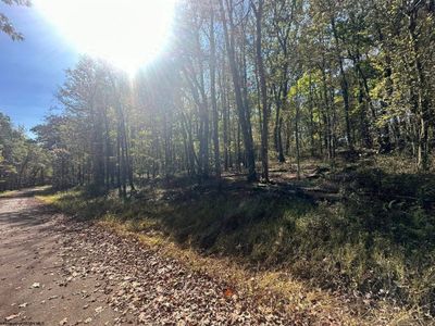 LOT-20-AUSTRIAN - 20 Rhododendron Drive, Home with 0 bedrooms, 0 bathrooms and null parking in Terra Alta WV | Image 3