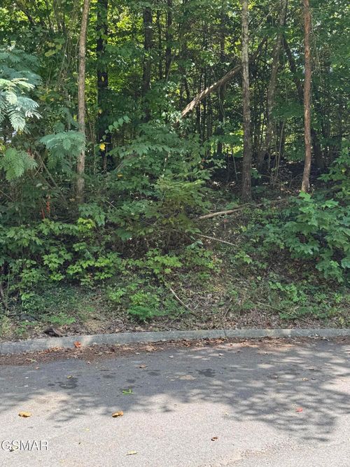 0 Sb Ogle Ln, Sevierville, TN, 37876 | Card Image