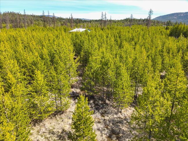 135 Wright Way, Home with 0 bedrooms, 0 bathrooms and null parking in Marion MT | Image 16
