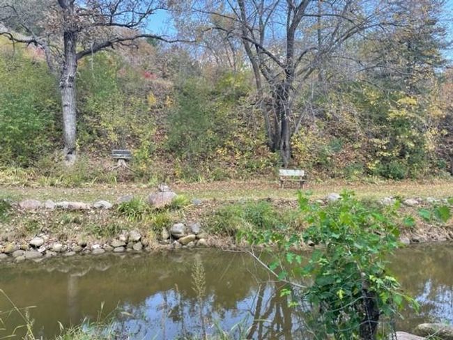 Other side of creek | Image 41
