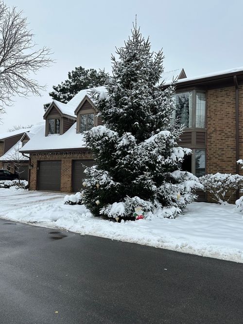 12 Queens Ct, Westchester, IL, 60154-5631 | Card Image